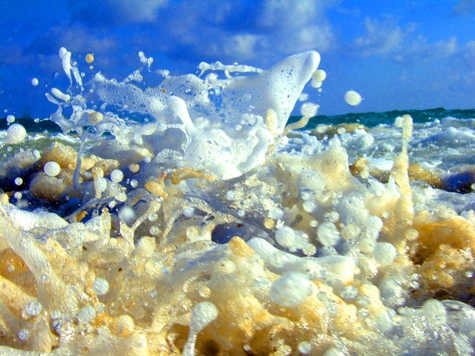 Melanie Heinrich - Travel Images - Barbuda